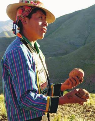 resumen de experiencias 2005-2009 Introducción cosude es socio de Bolivia desde hace 40 años, y apoya proyectos de desarrollo en áreas como Desarrollo Económico Sostenible, Buena Gobernabilidad y