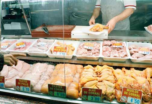 En cuanto a los países netamente importadores de carne pollo a nivel mundial, destacan Japón (con un 8% de todas las importaciones mundiales) y Arabia Saudí (con un porcentaje similar al de Japón).