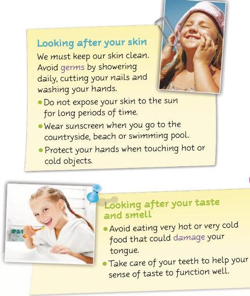 Cuidando tu piel Debemos mantener nuestra piel limpia. Evita los gérmenes duchándote diariamente, cortándote las uñas y lavándote las manos.
