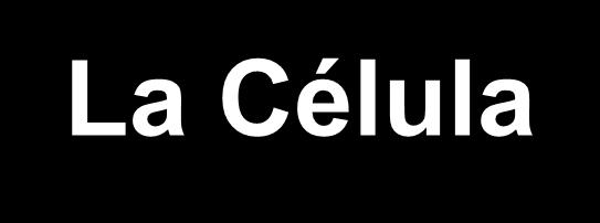La Célula Las células tienen una gran variedad de tamaños y formas, dependiendo principalmente de la adaptación a diferentes ambientes o