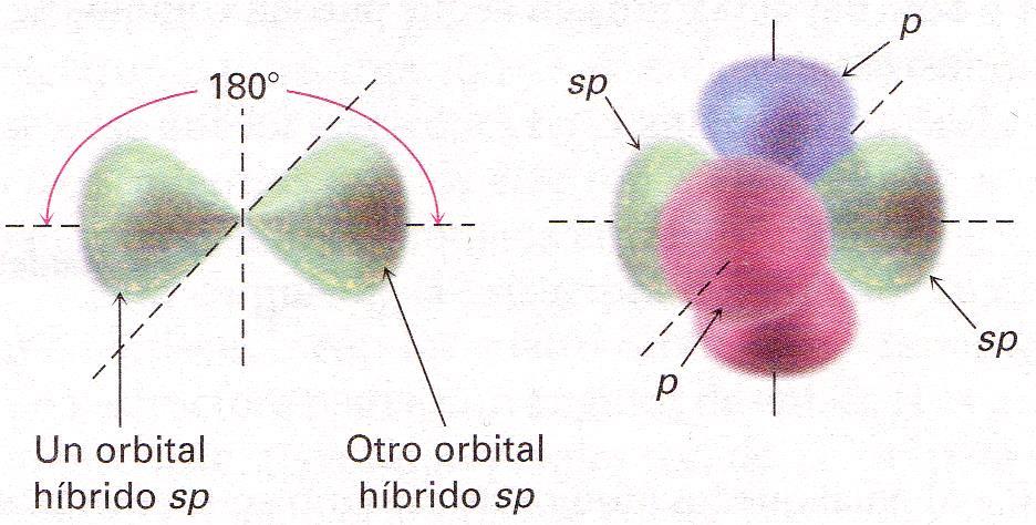 Representación de los orbitales hibridizados: