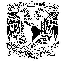 UNIVERSIDAD NACIONAL AUTÓNOMA DE