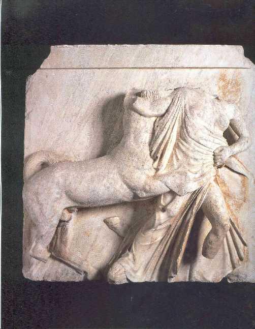 METOPA SUR X Esta metopa se conserva actualmente en el Museo del Louvre y muestra a un centauro barbudo que desliza su pata