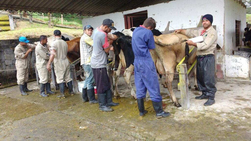 Objetivo: Capacitar a los participantes en la técnica moderna de inseminación artificial en bovinos, con el fin de fomentar esta práctica en hatos de
