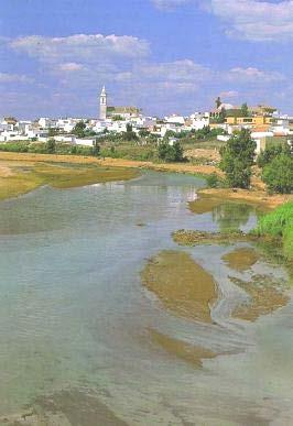 SITUACIÓN GEOGRÁFICA: Gibraleón es un municipio perteneciente a la provincia de Huelva situado a orillas del río Odiel.