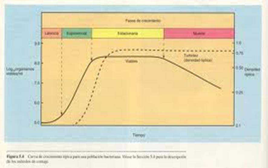 logarítmica/exponencial a una concentración constante de biomasa durante largos periodos