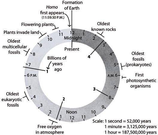 Raven Biology of Plants 2013 Las plantas y la vida en la tierra El reloj de la vida