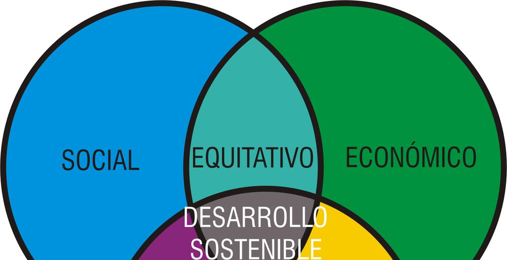 La noción de capital Capital social Capital económico Capital medioambiental Relaciona conocimiento y educación con el uso de