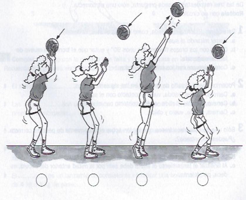 EDUCACIÓN ÍSICA ACTIIDADES 1. Dibuja el terreno de juego de voleibol. Señala sus medidas, líneas y posición de los jugadores. 2.