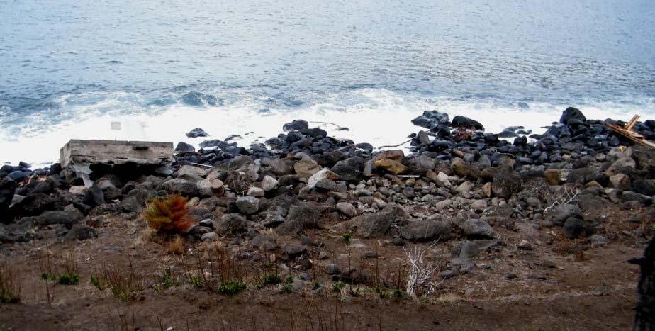 Figura 3-11: Restos del faro San Carlos, en Bahía Cumberland.