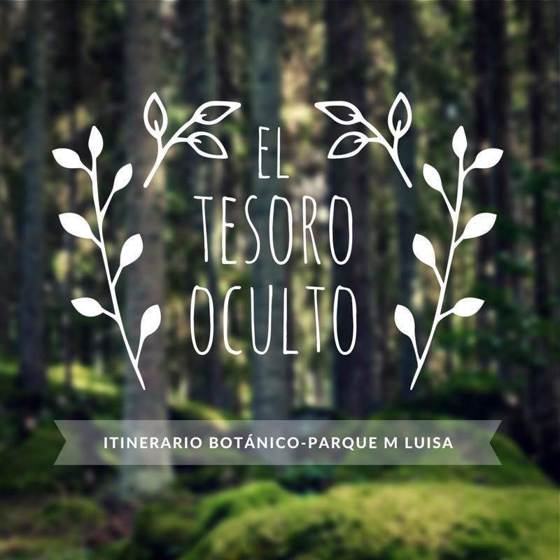 En el pulmón de Sevilla, el Parque de María Luisa, vamos a conocer sus especies botánicas más destacadas.