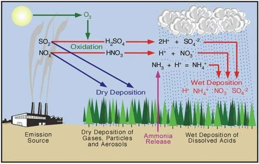 Smog industrial y óxidos de azufre Lluvia acida