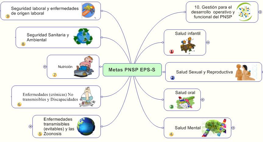 METAS DEL PNSP EPS-S