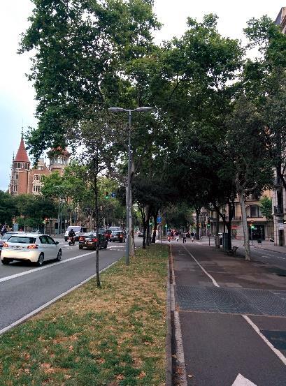 5 km de largo, se extiende desde el barrio de Sant Martí a un costado de Ronda Litoral cruza la ciudad de manera diagonal y termina atravesando el barrio de Les Corts, es decir, presenta una