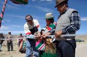 (MDRyT) Más de un millón de boliviano para promover la ganadería de camélidos Mujeres de las comunidades de Collpa Collana, Marquirivi, Alto Yaraque y Chiwirapi, del municipio de San