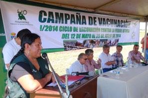 Lanzamiento de Ciclo de vacunación contra la Fiebre Aftosa en Santa Cruz En el municipio de