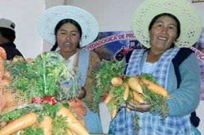 Fomento a la producción ecológica en Oruro El CNAPE viene organizando Comités Ecológicos Municipales (CEM) como se hizo en la localidad de Sorachachi en Oruro, con objeto de que