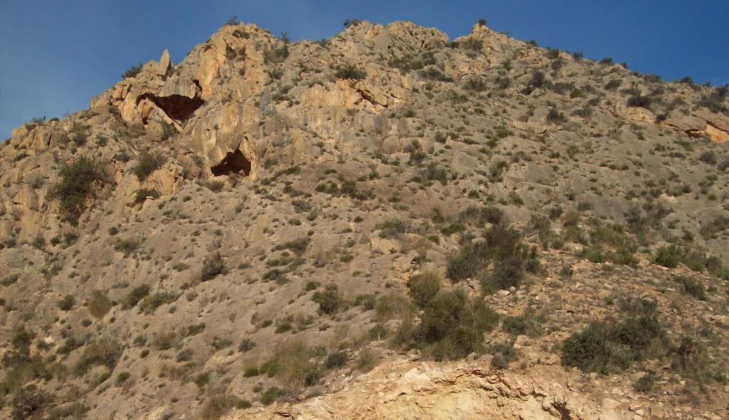 Detalle en la anterior: Sierra de Callosa. Cantera al NW de Redován, Alicante.