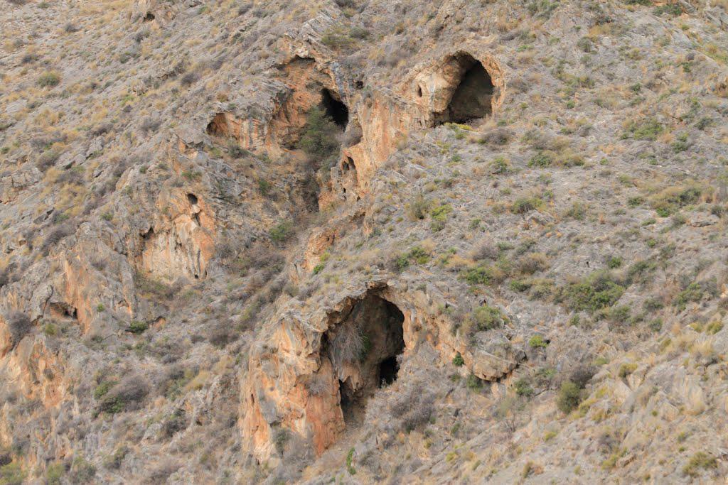 Ojos de San Bruno Cuevas en las calizas del Triásico, Unidad Redován. Sierra de Callosa.