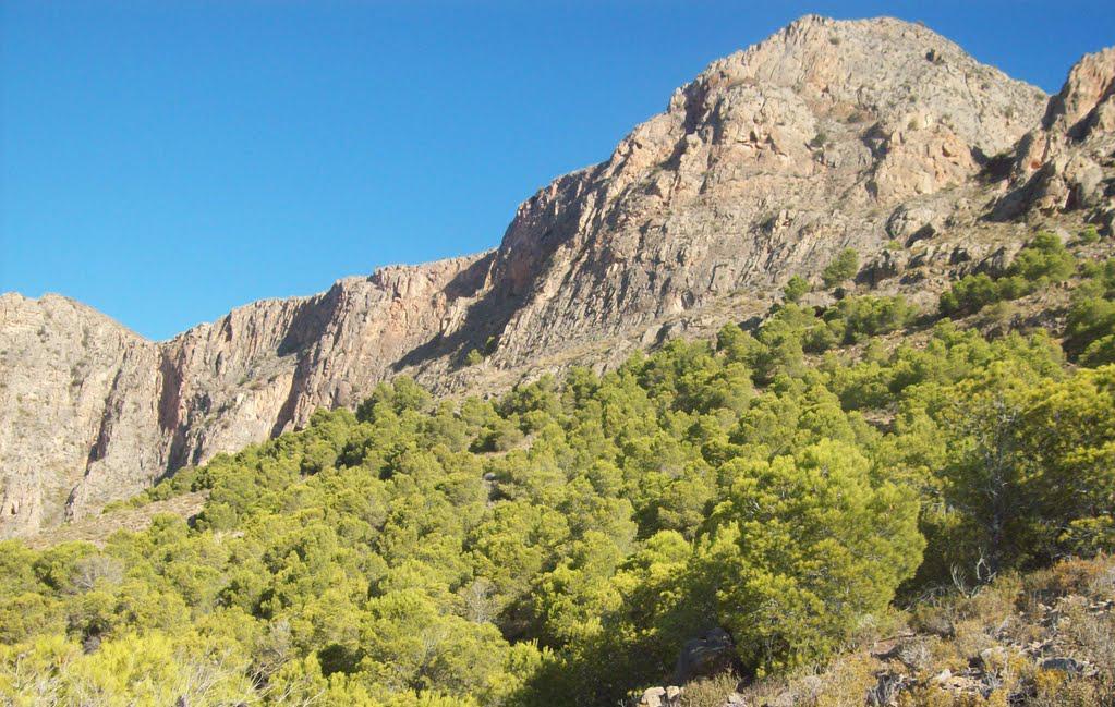 Cabezo Lodroño. Rocas carbonatadas del Triásico Med.