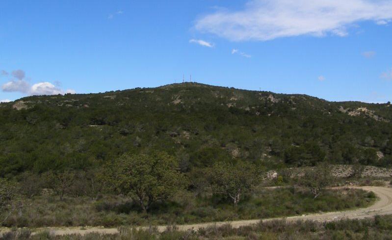 Cabezo de Hurchillo, cara Sur. Conglomerados del Andaluciense, Mioceno Sup.