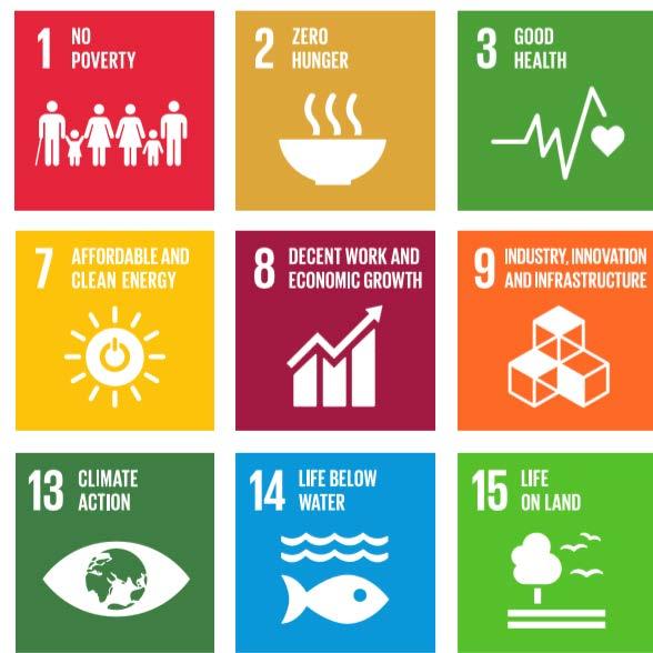 Objetivos Mundiales para el desarrollo sostenible (SDG s) El papel de GRI s en facilitar la acción de empresas y gobiernos Los SDGs son un llamado para una acción conjunta de gobiernos, empresas y