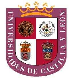 Pruebas de Acceso a las Universidades de Castilla y León FÍSICA Texto para los Alumnos 2 Páginas INSTRUCCIONES: Cada alumno elegirá obligatoriamente UNA de las dos opciones que se proponen.