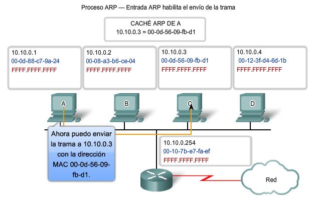 Explicación del proceso del protocolo de resolución de direcciones (ARP) El protocolo ARP ofrece dos funciones básicas: Resolución de direcciones IPv4 a direcciones MAC.