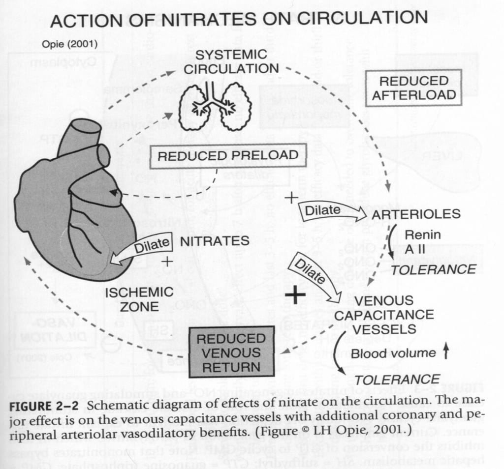 el miocardio -$ aumento de la oferta de oxígeno Nitratos