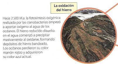 Resultado de imagen de Los Hierros Bandeado de Isua (Groenlandia): las rocas sedimentarias mÃ¡s antiguas