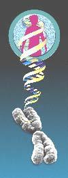 Genética de poblaciones Ciclo Básico Licenciatura en Ciencias Biológicas Departamento de Ciencias Naturales UNIDAD 1 El concepto de evolución y sus principales mecanismos.