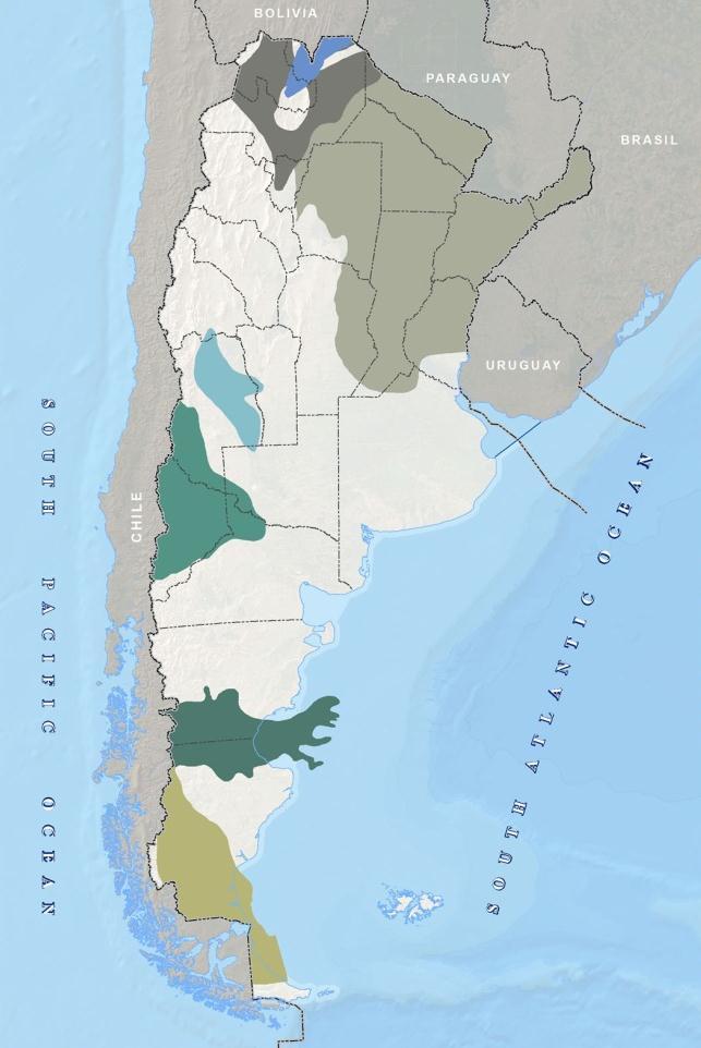 Argentina cuenta con la base de recursos de petróleo y gas para revertir la importación Reservas convencionales por cuenca CUYANA NEUQUINA NOROESTE 3.000 2.500 2.000 1.500 1.