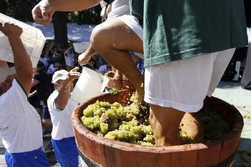 fiesta de la vendimia Como buen país vitivinícola, la vendimia se celebra en la zona central las primeras semanas de