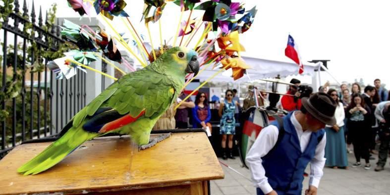 La fiesta de la ciudad de Curicó es la más antigua y comienza con una ceremonia religiosa para bendecir los primeros