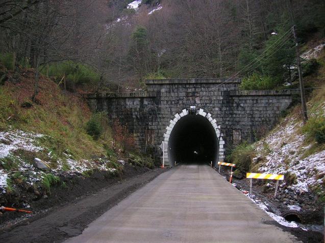 forestales Túnel Las Raíces: túnel ferroviario ubicado en la