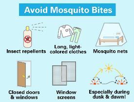 a) b) Prevención del virus del Zika Protección individual: Cubrirse con camisas de mangas largas, calzas y gorros Usar repelentes recomendados por las