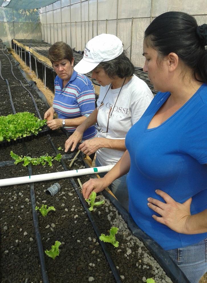 VI Censo Nacional Agropecuario INEC ( 2014 ) Costa Rica 100 % de Mujeres Trabajan 17,2% de mujeres trabajan permanentemente con pago 48,0% de mujeres trabajan