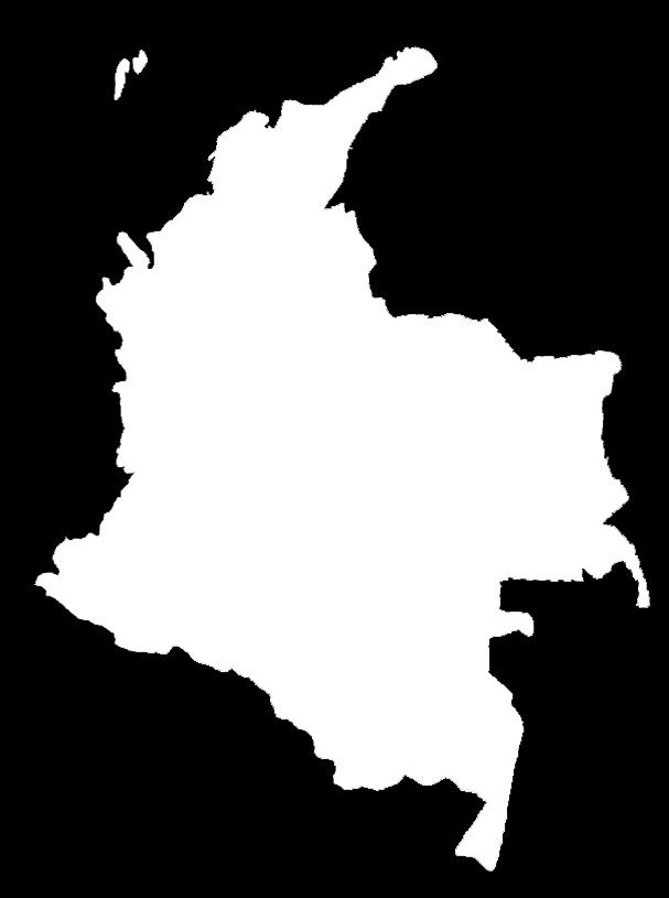 POTENCIAL DE MOVIMIENTO RÍO MAGDALENA Flujo central: cargas provenientes de Antioquia, Caldas, Cundinamarca, Huila, Meta y Tolima Flujo Oriente: cargas provenientes de