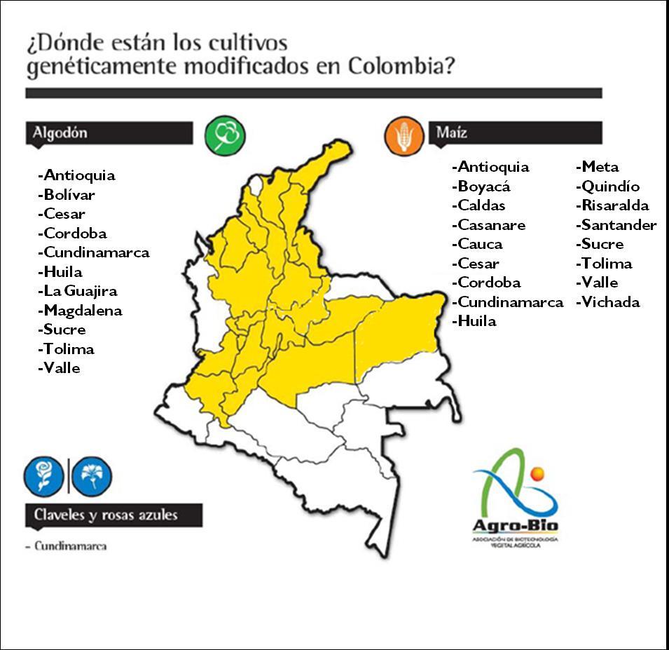 Cundinamarca, Magdalena, Antioquia y Guajira también le apostaron a la siembra de este cultivo. Colombia siembra transgénicos desde el 2002. Figura 1: Cultivos Transgénicos en Colombia.