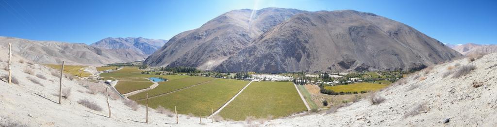 Valle del Huasco Alto del Carmen Cultivos
