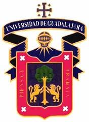 Ismael Luis Ledesma Tello Universidad de Guadalajara, Coordinación General de
