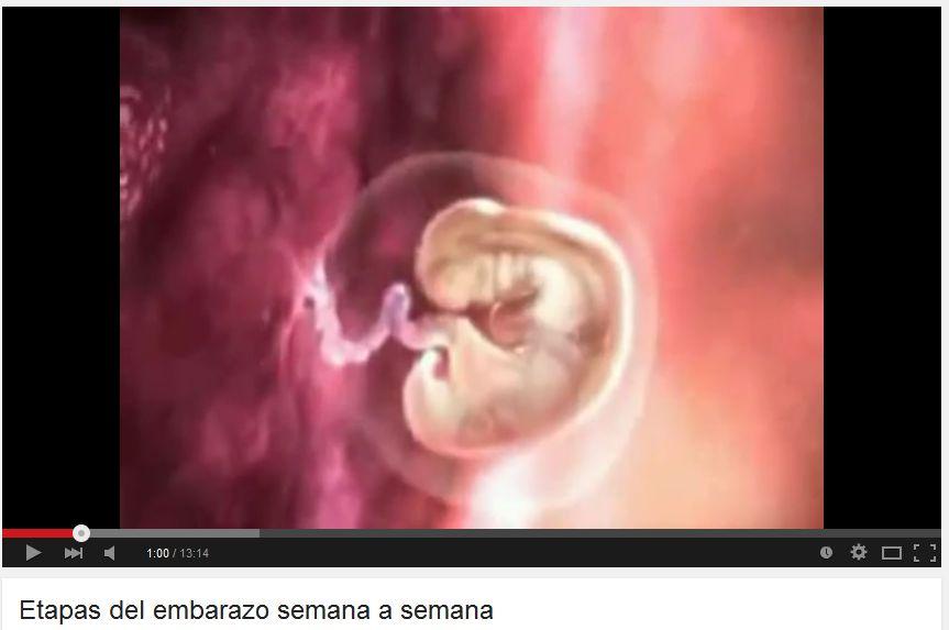 Luego, proyecta el video: 07 El Embarazo por dentro Parto y nacimiento (02:20 minutos). https://www.youtube.com/watch?