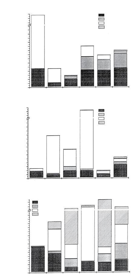 Fig. 10. Volumen de zooplancton gelatinoso en las estaciones de muestreo durante el período de estudio (A: Diciembre 1997, B: Enero 1998 y C: Febrero 1998), Golfo Dulce.