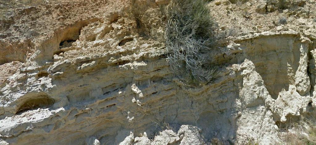 Erosión en las areniscas arcillosas del Andaluciense, Mioceno Sup.