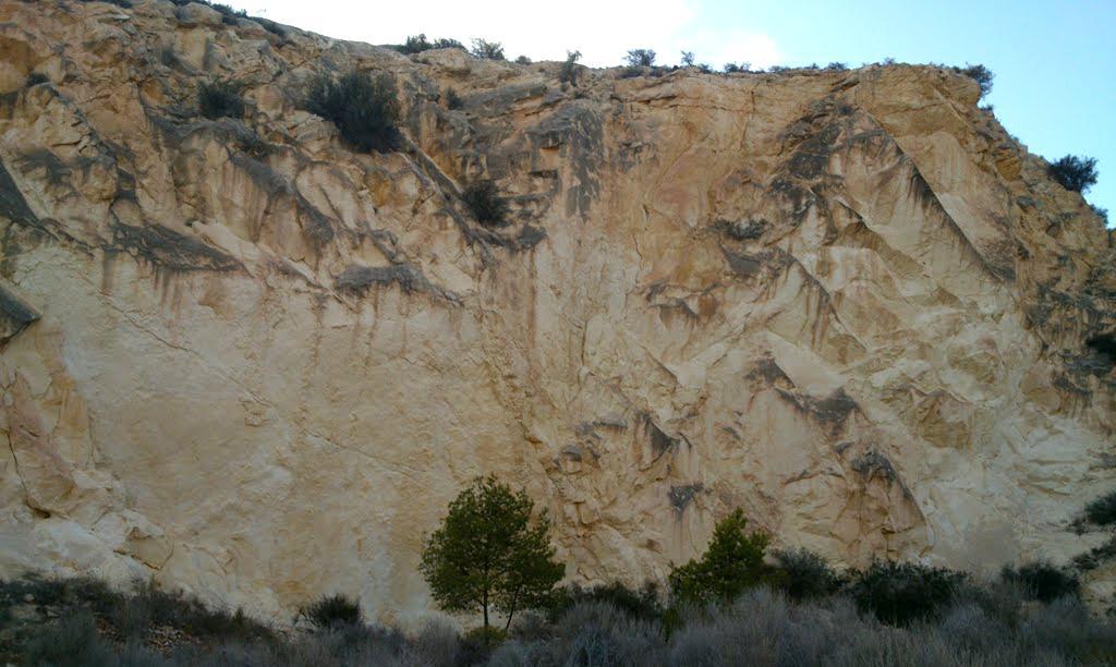 Cantera abandonada de caliza del Mioceno, Terciario.