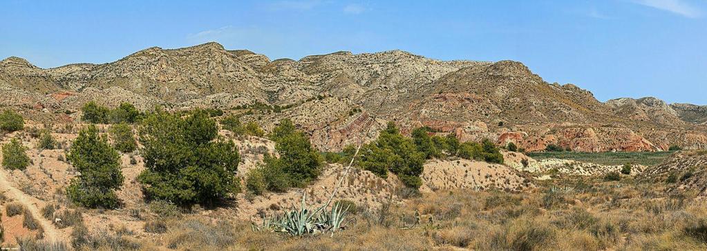 Sierra del Tabayá, Conglomerados y calizas del Tortoniense, Mioceno Sup. Terciario.