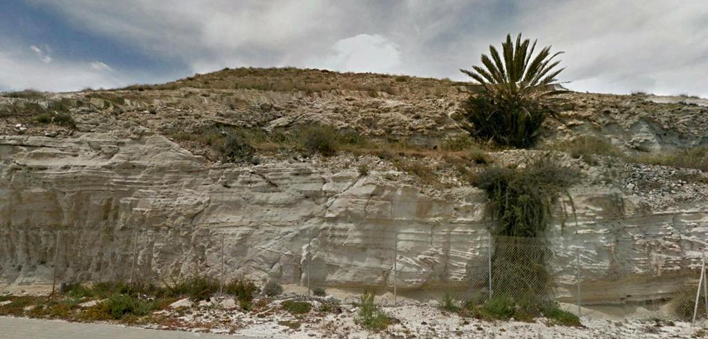 Areniscas y arcillas del Andaluciense, Mioceno