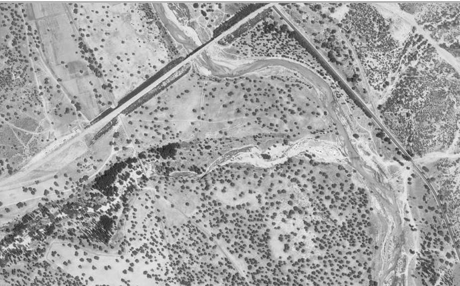 1961 2014 Comparativa de anchuras y vegetación de ribera, situación actual y situación en 1961 del río Manzanares y arroyo de la Trofa Vegetación de ribera La imagen de referencia sería la