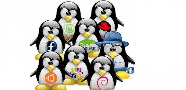 Debian busca ser una distro universal, que incluya el mayor número de paquetes para el mayor número de plataformas posible, sin perder de vista la estabilidad; Red Hat busca implementar las
