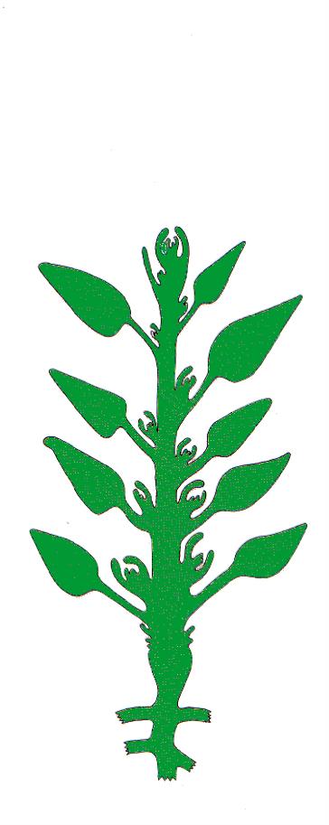 Fuentes y Sumideros Diagrama de una planta en (A) el estado vegetativo y (B)